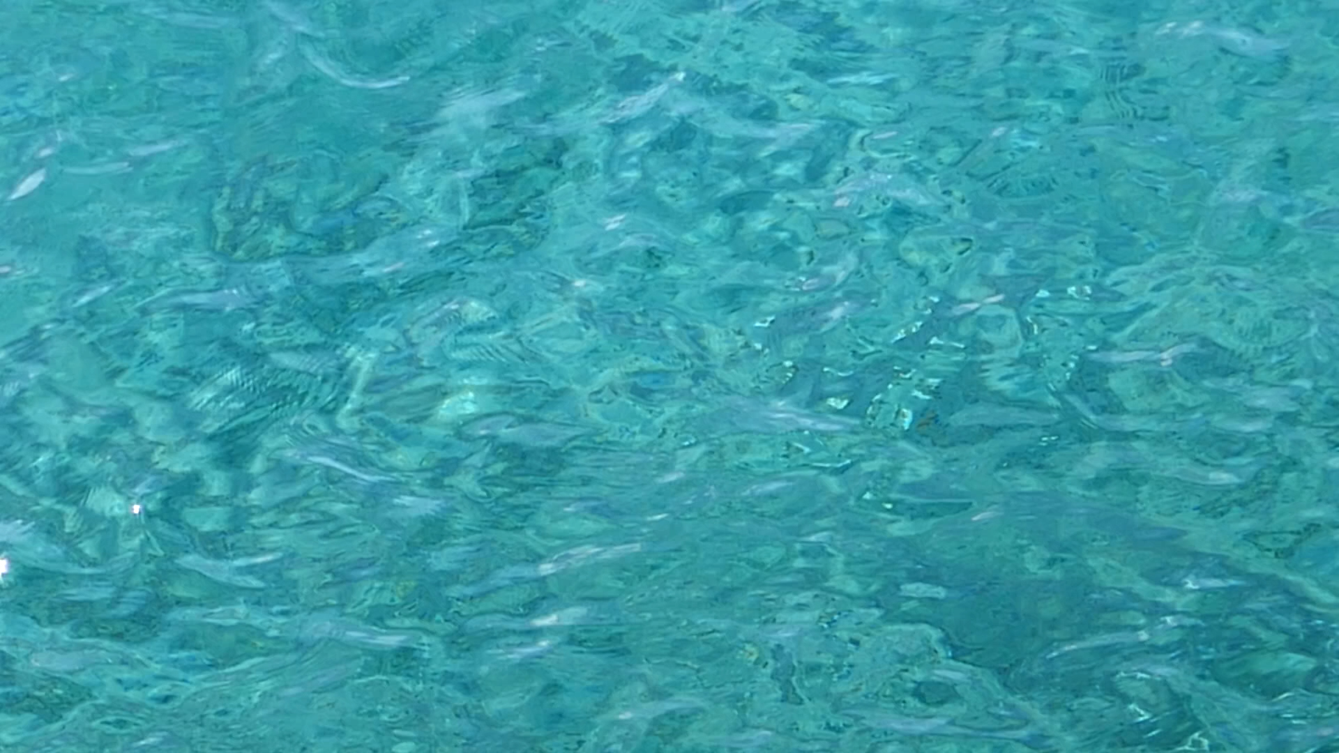 2022-10-21 15 Uhr 13 Wellen (Video)